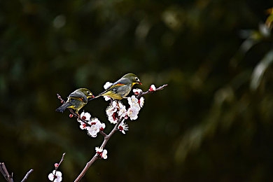 富二代app无限解锁版下载：解锁青春社交新境界，富二代app无限特权大揭秘-3
