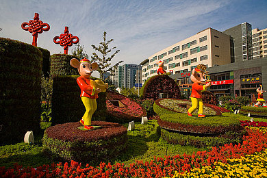 青少年 自由 摘花 娇小：规则之花：青少年自由与责任养成之旅-2
