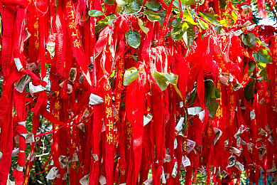被闺蜜男友认错后by豌豆荚：笑释误会，豌豆荚记录闺蜜美好瞬间-5