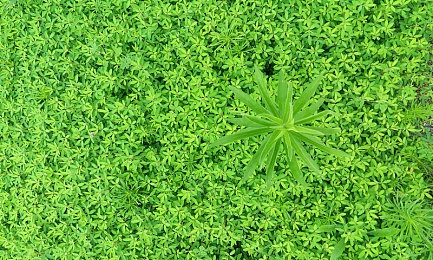 17c黑料爆料18,游戏大升级，神秘新游引期待-4