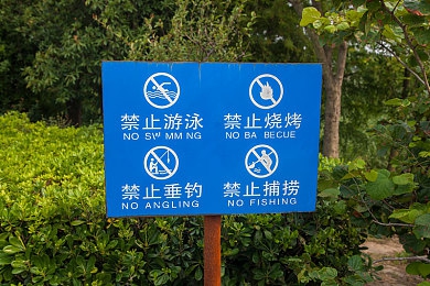 丁香六月婷婷五月：丁香花下的环保与文化共振探讨-3