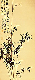 女性脱 给我揉 平台：“女性脱 给我揉平台走红：社交新方式引发关注与争议，心理健康与情感需求成焦点”-1