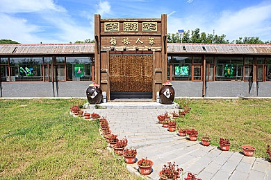 杨玉环一 毛A1捶放：绝技对决，团战奇迹：揭秘游戏巅峰瞬间-5