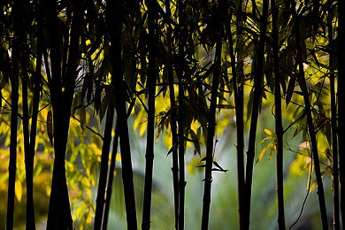 palipali2在线测试3：《Palipali2》在线测试3开启新篇章，画面升级玩法创新引热议-4