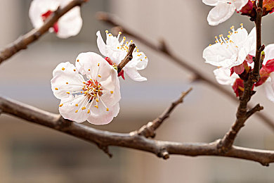 Av黄色：网络“黄毒”蔓延：揭秘“Av黄色”现象，共筑清朗网络空间-1