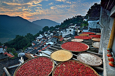 一区：焕新之城，宜居画卷，一区蝶变记-3
