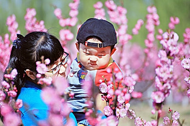 小芳十一岁爸爸是干什么的：小芳爸爸的奇妙世界：工程师、艺术家、公民的育儿之旅-3