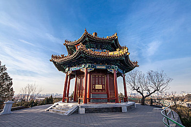 白鹿哭着说不能再生了：游戏新体验：白鹿告别之旅，探索生命与爱的童话之旅-5
