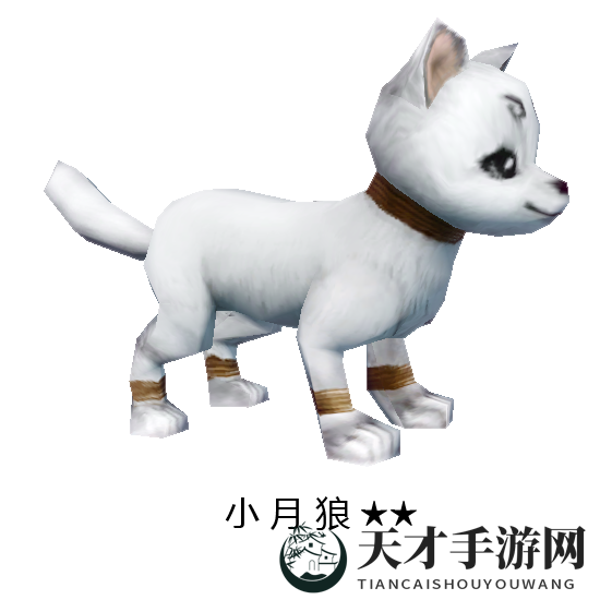 《太极熊猫3：猎龙》宠物图鉴一览