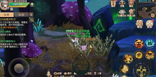 《塞尔之光》雷鸣沼泽8宝藏点图文详解