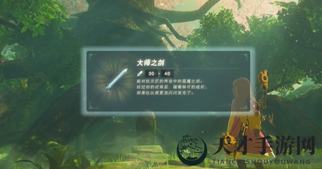 《塞尔达传说：王国之泪》剑之试炼初阶任务攻略